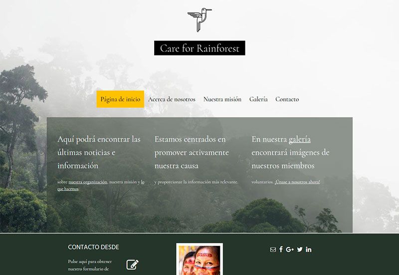 Ejemplo de diseño de página web de una ONG que puedes hacer con Mi Página Web